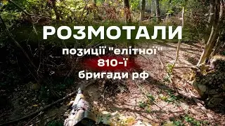 The SSO group closely dismantled the 