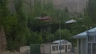 Зеробод