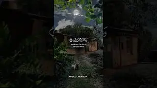 قرآن مجید کی تلاوت بہت پیاری اواز میں روح کا سکون #shortvideo #quranrecitation
