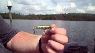 Baby Duck Bastards Fishing - S01E01