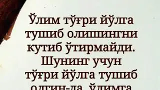 Худо учун бита куйлак олиб беринг