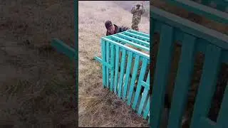 Зилаирское районное отделение РБ. Выпустили в свою среду медвежонка, попавшего в ДТП .