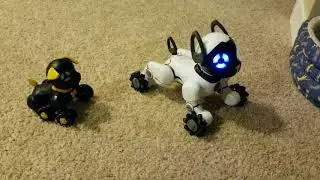 Wowwee CHiP vs Chippo