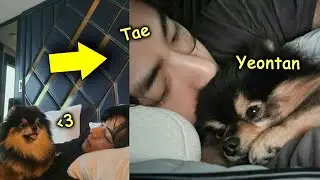 Yeontan & BTS 🤭