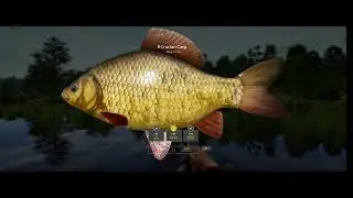 Russian Fishing 4 - 22h fishing at Mosquito Lake 50:80