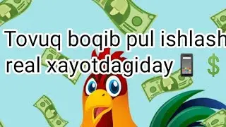 Tovuq boqib pul ishlash 100 rubl 🤑