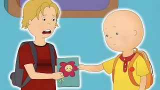 The Apology | Caillou Cartoon