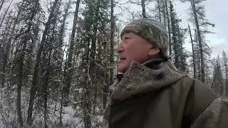 Sable hunting season. Part 2. 2025. Yakutia.