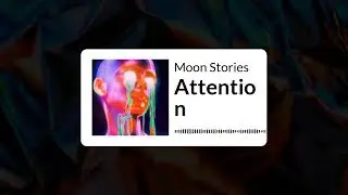 Attention | Moon Stories