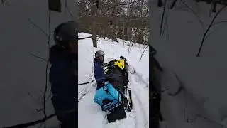 Тайга в сугробе