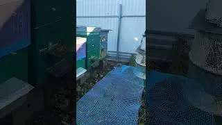 1 ноября 2023 г.