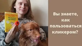 Что такое кликер? Как пользоваться им в дрессировке?