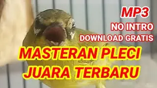 MASTER PLECI||SUARA TEMBAK RAPAT