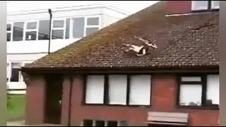 Komik Videolar 😂😂