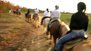 Horseback riding in MD