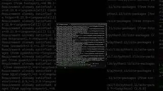 Install a python package in a conda environment with PIP 