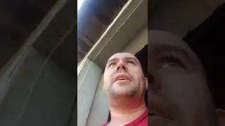 Малиновая лада (GAYAZOV$ BROTHER$) #играемипоём #cybercaterpillar #кавер #малиноваялада
