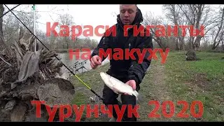 Fishing Dniester 2020, Troitskoye village, Odessa region, huge crucian carp weighing 1 kg.