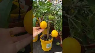 В шоке от цен 😱
