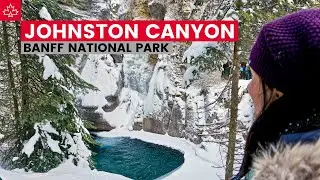 Banff in the Winter: JOHNSTON CANYON & SUNSHINE VILLAGE