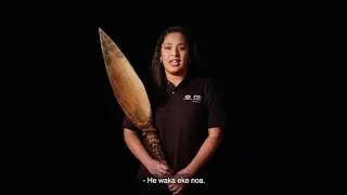 See the harm, stop the harm - addressing bullying and harassment