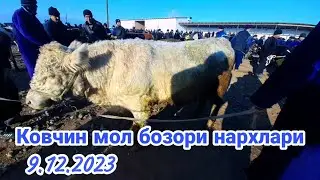 Карши туман Ковчин мол бозори 9.12.2023 й