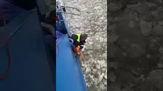 Подпишитесь добрые люди ❤️🙌 