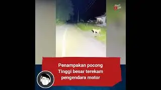 #penampakan