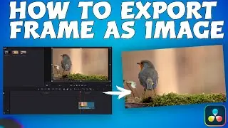 The FASTEST Way To SAVE An iMAGE From Davinci Resolve 18.6 | How to Export a Single Video Frame