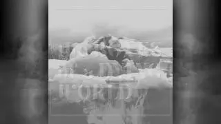 Swallowing Teeth - If These Trees Could Talk