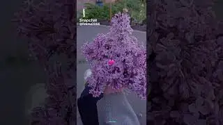 Апрельская серень ❤💋