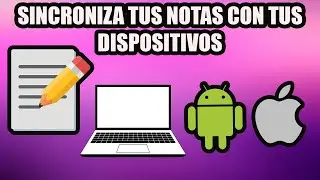 Sincronizar Notas entre PC y Celular | Windows, Apple y Android