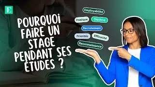 5 raisons de faire un STAGE pour RÉUSSIR ta CARRIÈRE