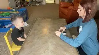Discrete Trial Teaching (DTT)