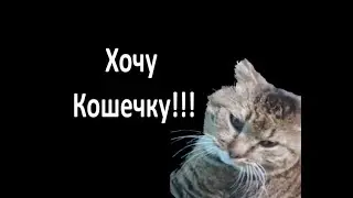 Котика ждала кошечка, но пока он вышел из дома она убежала.