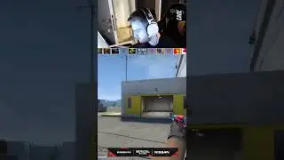NiKo knows 😎 #csgo #twitchclips #counterstrike