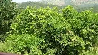 Beautiful Nature. #travelling
