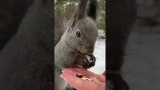 Самый вкусный обед,обед  из рук...