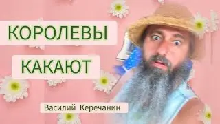 ПОТЕРЯЛАСЬ Я💥. ВСЁ НЕ ТАК,КАК Я ХОЧУ.ХОЖУ ПО КРУГУ. ЗАСУНУЛА СЕБЯ НИЖЕ ПЛИНТУСА - Василий Керечанин.