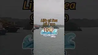 #098 Panama cannal transit #panama #youtube #shorts
