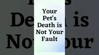 Your Pet's Death is Not Your Fault 