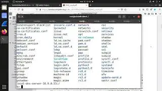 Lab09: SEED 2.0 Local DNS Attack Lab