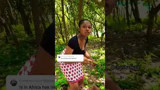 how we get Internet in the evil forest of Africa. #sarcasm #africa #charityekezie