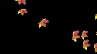 Green screen | Autumn leaves fall | Video background | Animation | Footage | Download | №177