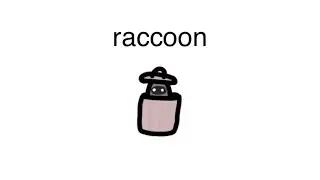 raccoon.