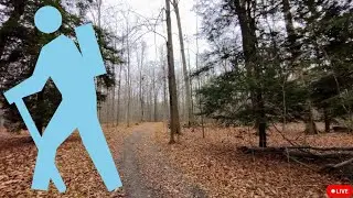 Virtual x Forest Hiking 2.02 / muddy, autumn, peaceful