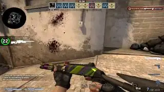 XM1014 Ziggy Showcase