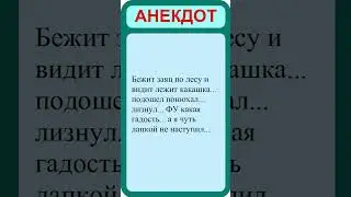 Лучшие анекдоты. Смешные анекдоты. Веселые анекдоты.