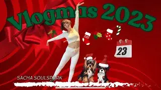 Vlogmas Day 23! - The one where we prepare for company!