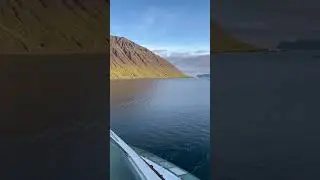 My Cruise Balcony View in Iceland #shorts